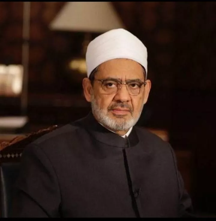 فضيلة الإمام الأكبر، فيتو