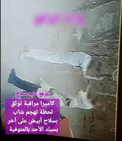 زوج يعتدي على زوجته وشقيقاتها ويهددهن بسلاح أبيض في المنوفية، فيتو
