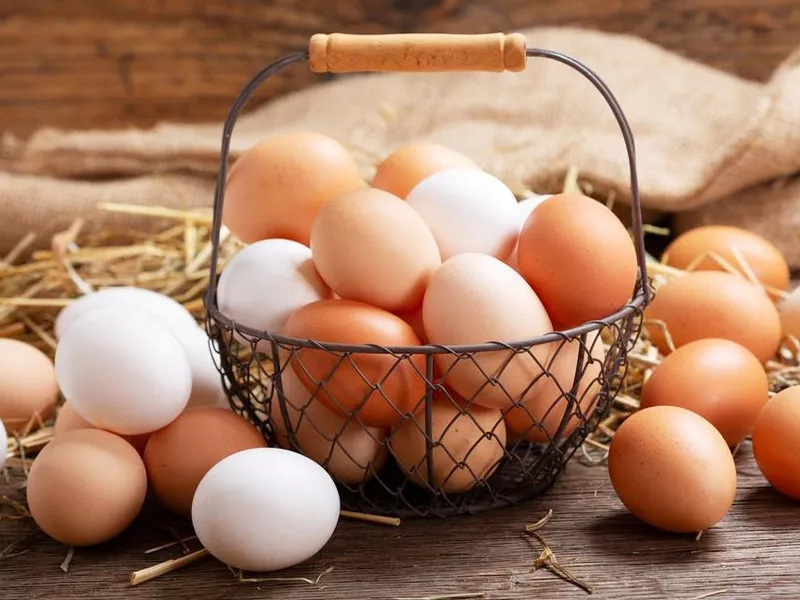 سعر كرتونة البيض اليوم السبت في بورصة الدواجن، فيتو