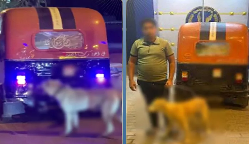 بدعوى مزاج تدفع سائق توك توك لربط كلب وسحلة بأحد الشوارع