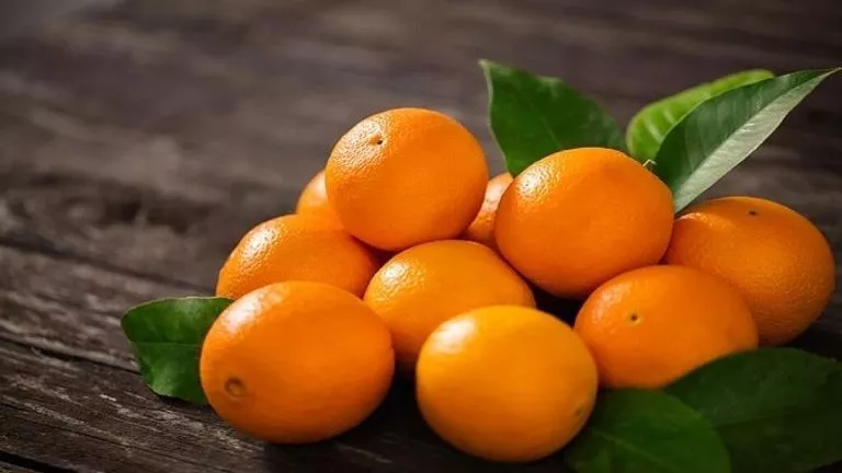 فوائد البرتقال