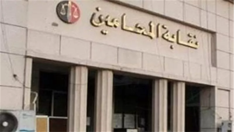 نقابة المحامين بحلوان: نسبة الإضراب أمام محاكم الجنايات 100% 
