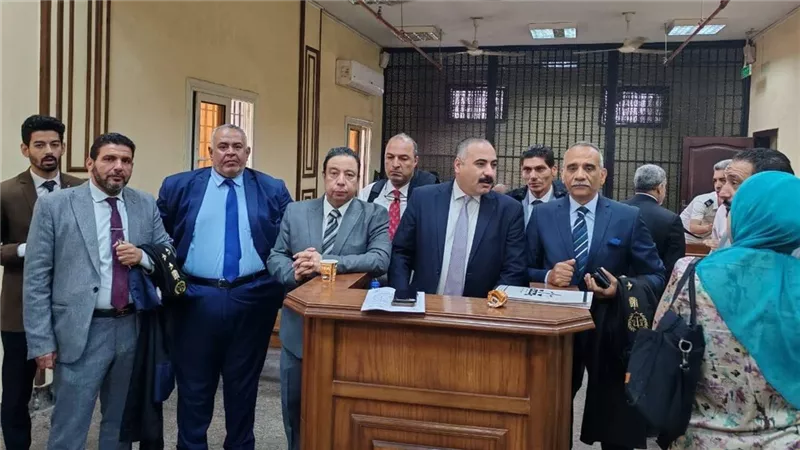 وكيل المحامين بجنوب الجيزة: أثبتنا الإضراب أمام المحكمة والأعضاء ملتزمون بالقرار 