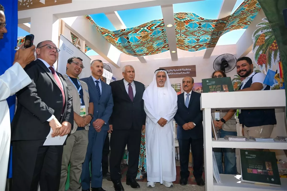 «التمور المصرية» على خريطة المنافسة العالمية، الفاو تتحرك من واحة سيوة
