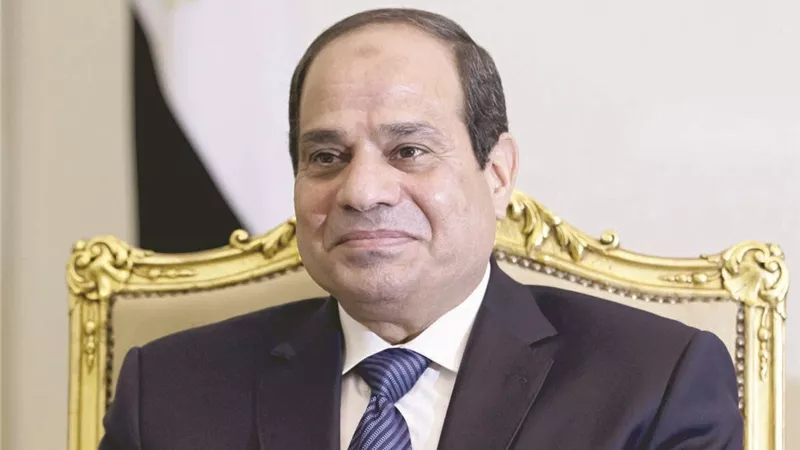 الرئيس السيسي، فيتو