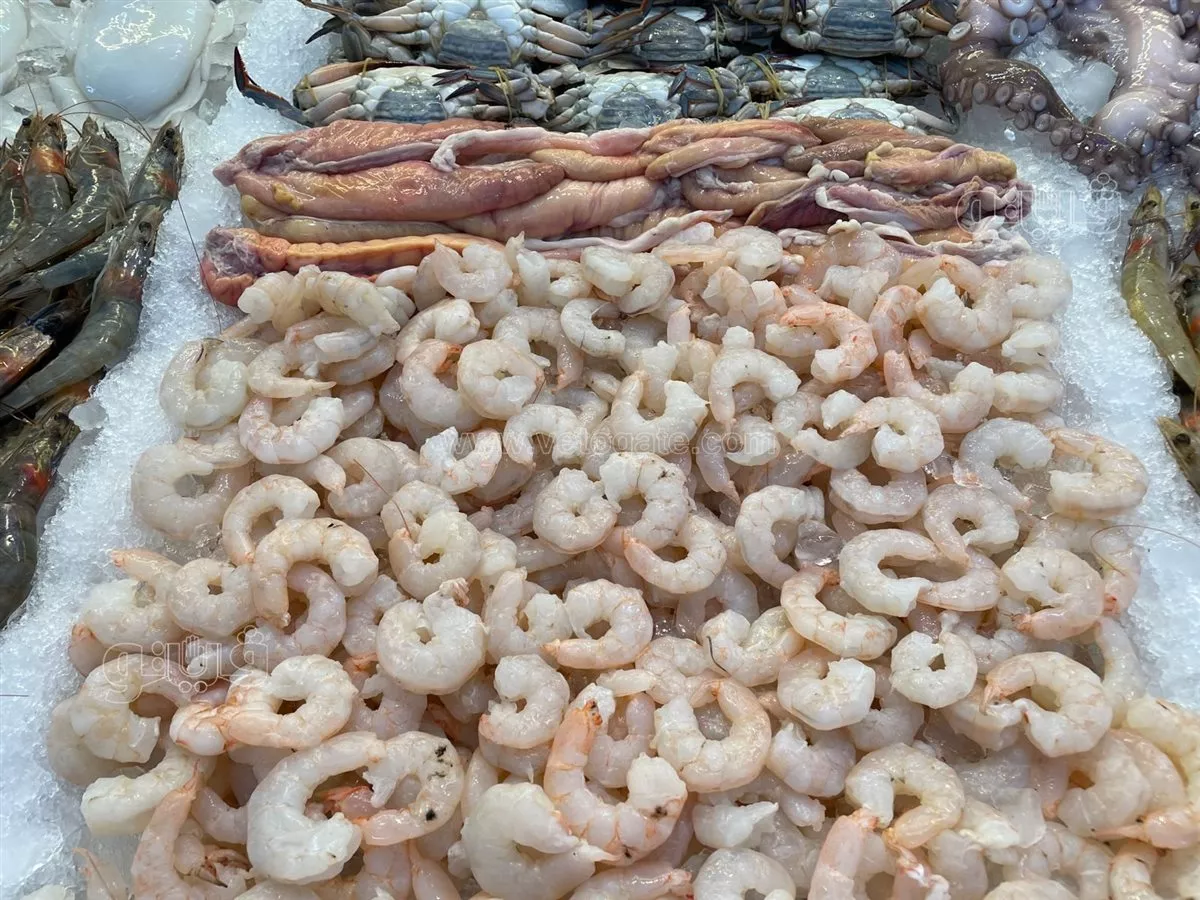 أسعار السمك اليوم