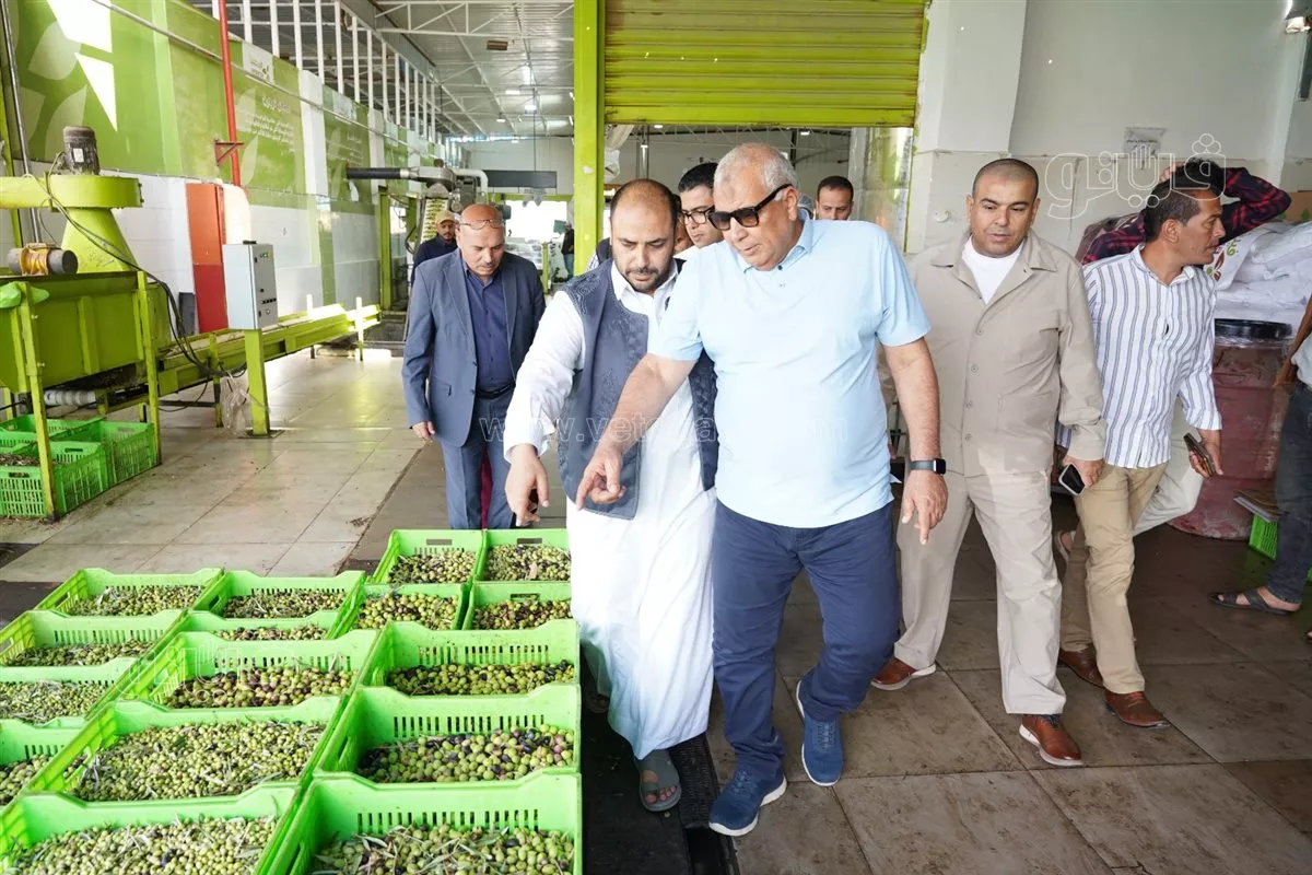 محافظ مطروح يتفقد استعدادات مهرجان الزيتون الدولي الأول
