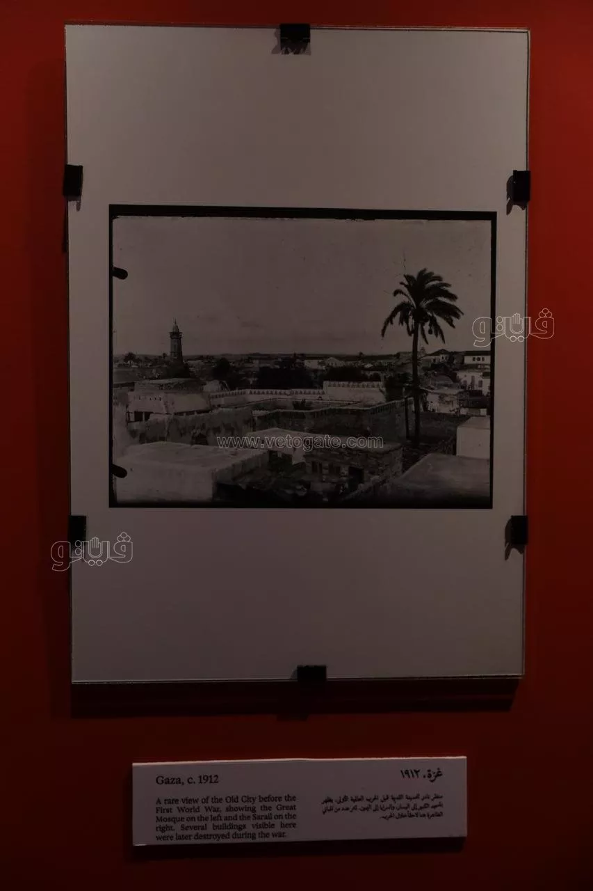 من خريطة فلسطين ومدنها إلى البذور،"سبل التذكر" يروي حكايات الأرض والناس بمهرجان الجونة (فيديو وصور)
