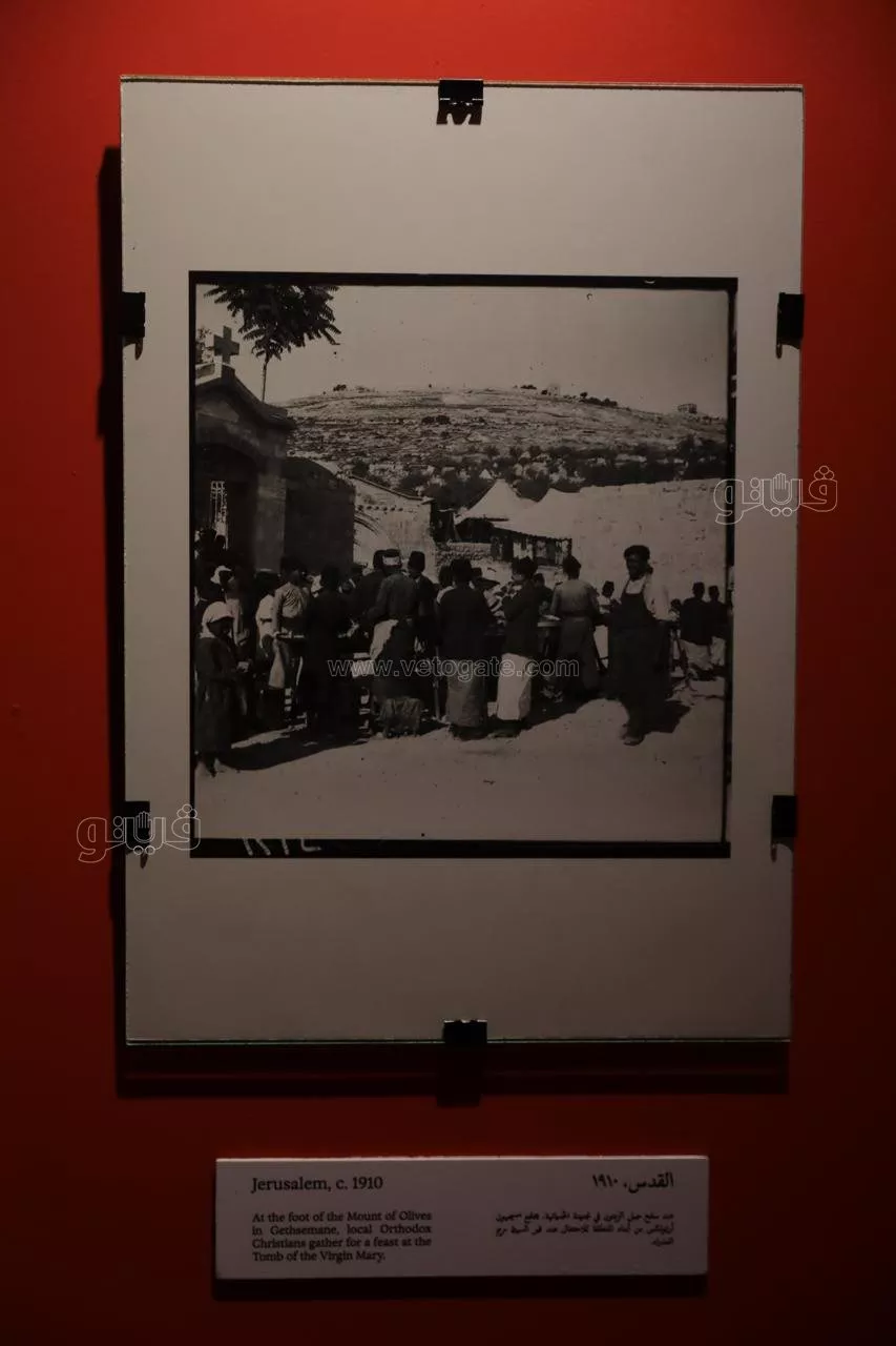 من خريطة فلسطين ومدنها إلى البذور،"سبل التذكر" يروي حكايات الأرض والناس بمهرجان الجونة (فيديو وصور)