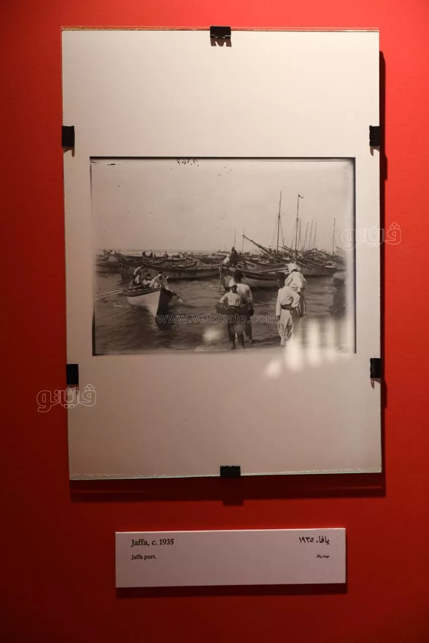 من خريطة فلسطين ومدنها إلى البذور،"سبل التذكر" يروي حكايات الأرض والناس بمهرجان الجونة (فيديو وصور)