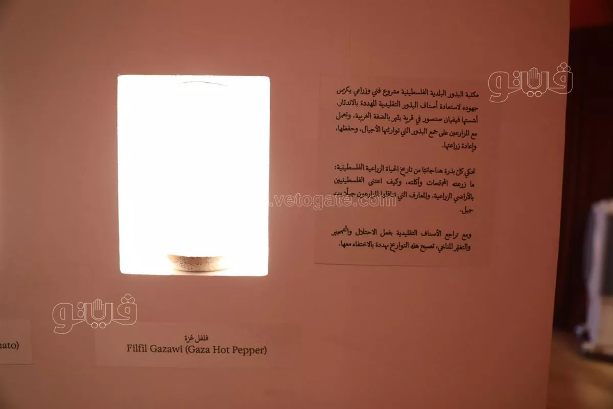 من خريطة فلسطين ومدنها إلى البذور،"سبل التذكر" يروي حكايات الأرض والناس بمهرجان الجونة (فيديو وصور)