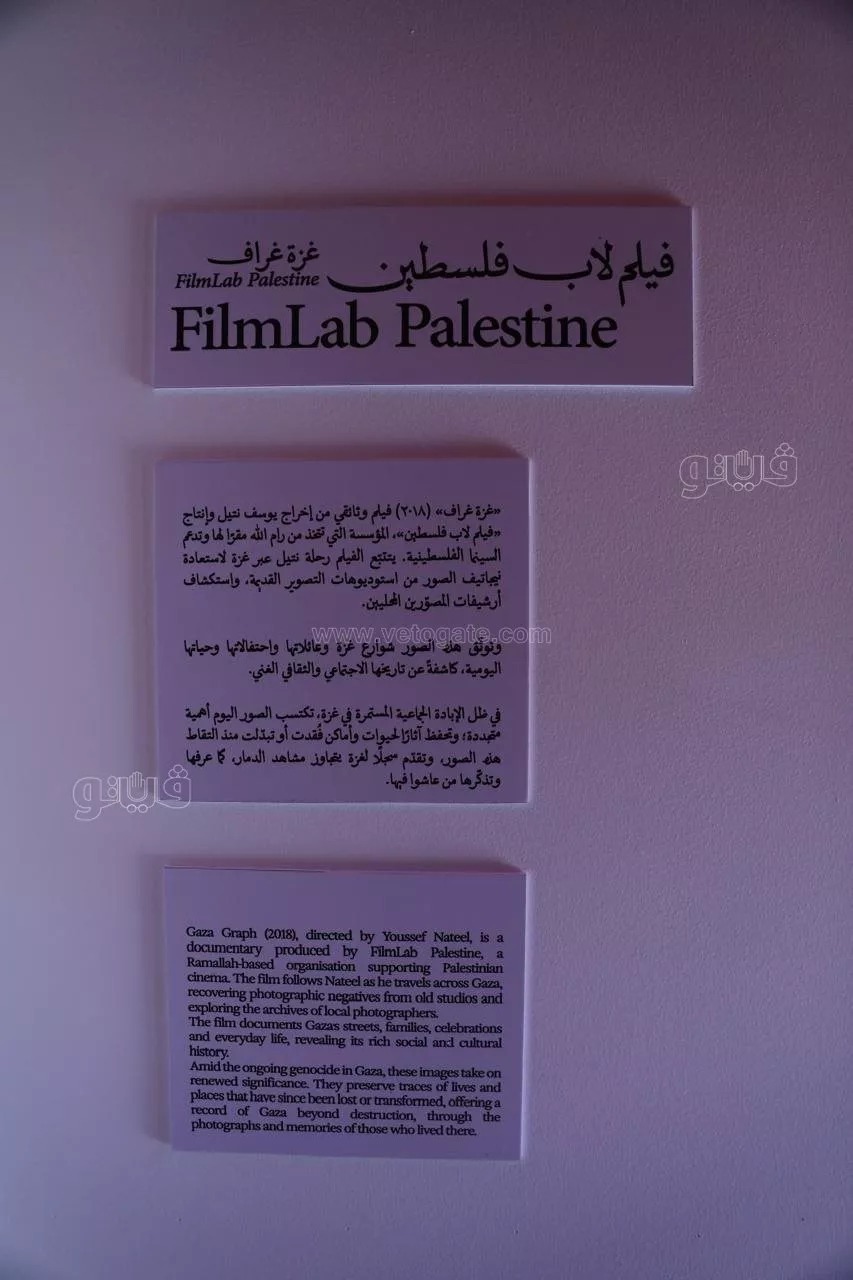 من خريطة فلسطين ومدنها إلى البذور،"سبل التذكر" يروي حكايات الأرض والناس بمهرجان الجونة (فيديو وصور)