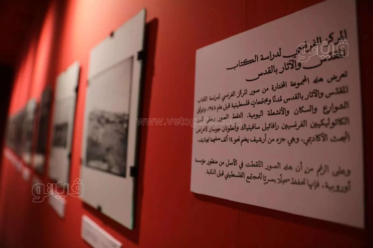 من خريطة فلسطين ومدنها إلى البذور،"سبل التذكر" يروي حكايات الأرض والناس بمهرجان الجونة (فيديو وصور)