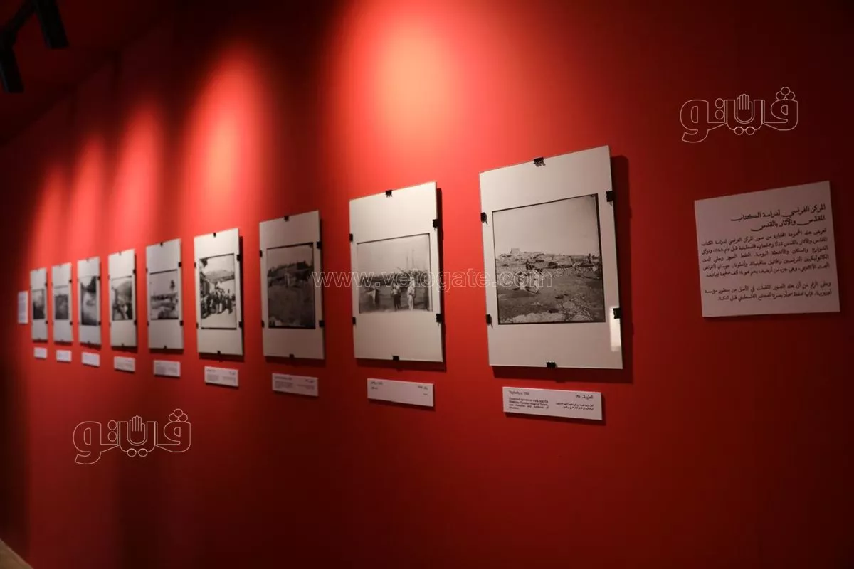 من خريطة فلسطين ومدنها إلى البذور،"سبل التذكر" يروي حكايات الأرض والناس بمهرجان الجونة (فيديو وصور)