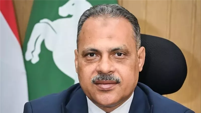 محافظ الشرقية