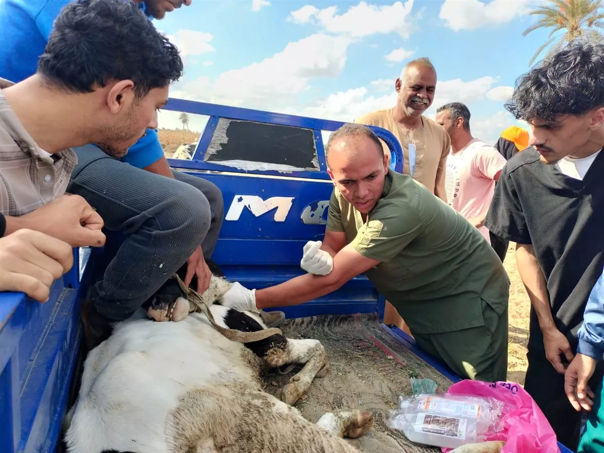 اعمال القافلة،فيتو