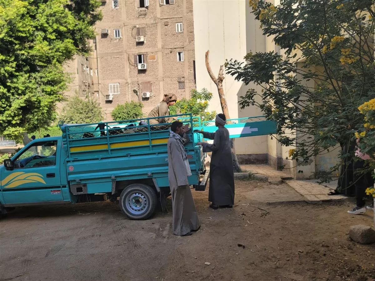 بتمويل من مؤسسة ساويرس، بيطري سوهاج يسلم 770 رأس أغنام للأسر الأولى بالرعاية