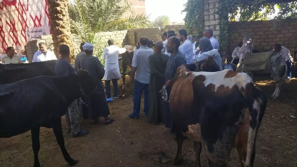 تحليل 10 آلاف عينة مبيدات وتنظيم 21 قافلة بيطرية، «البحوث الزراعية» تكشف حصاد أنشطتها في أسبوع