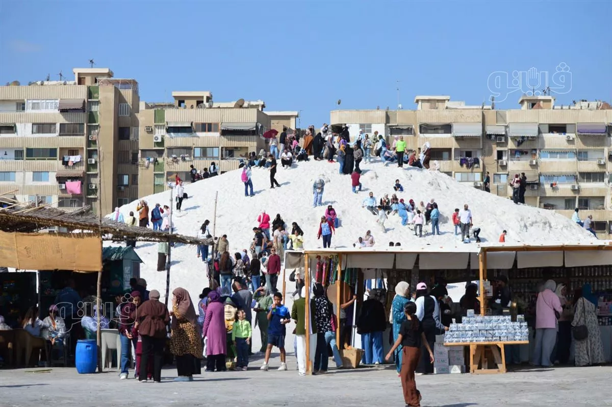 بورسعيد تشهد إقبالا من المواطنين خلال رحلات اليوم الواحد