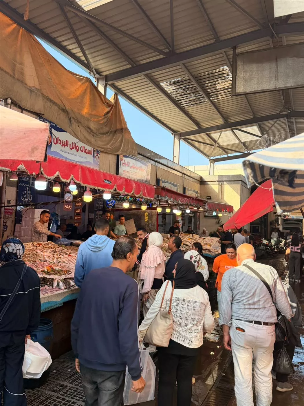 بورسعيد تشهد إقبالا من المواطنين خلال رحلات اليوم الواحد