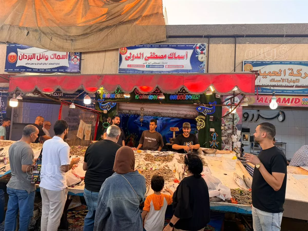 بورسعيد تشهد إقبالا من المواطنين خلال رحلات اليوم الواحد