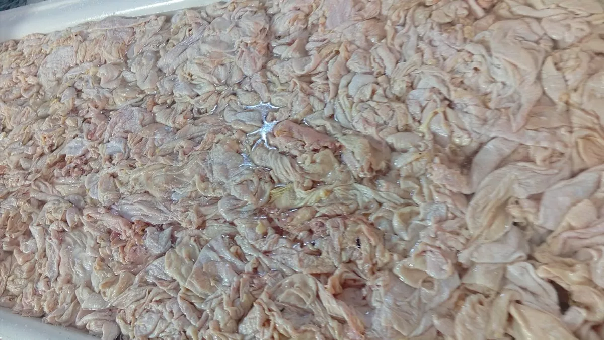 جانب من الحملة