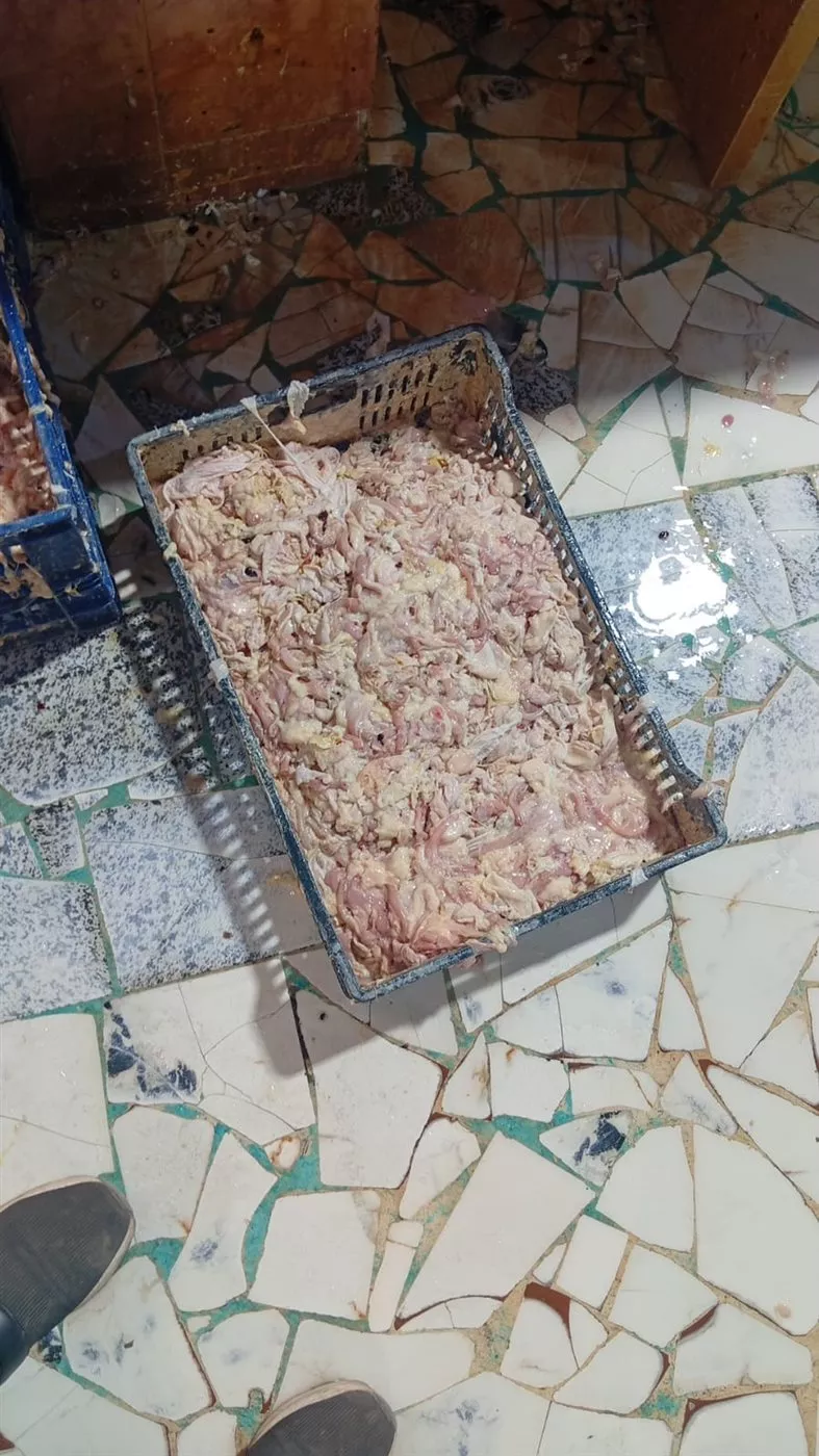 جانب من الحملة