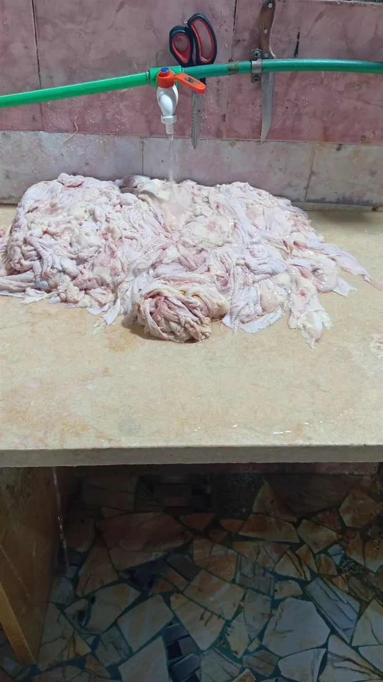 جانب من الحملة