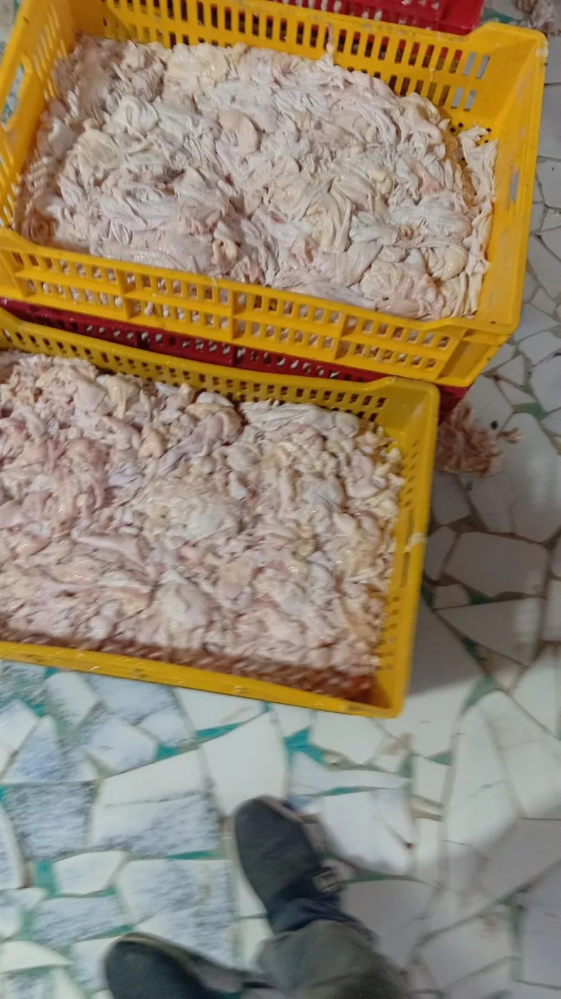 جانب من الحملة