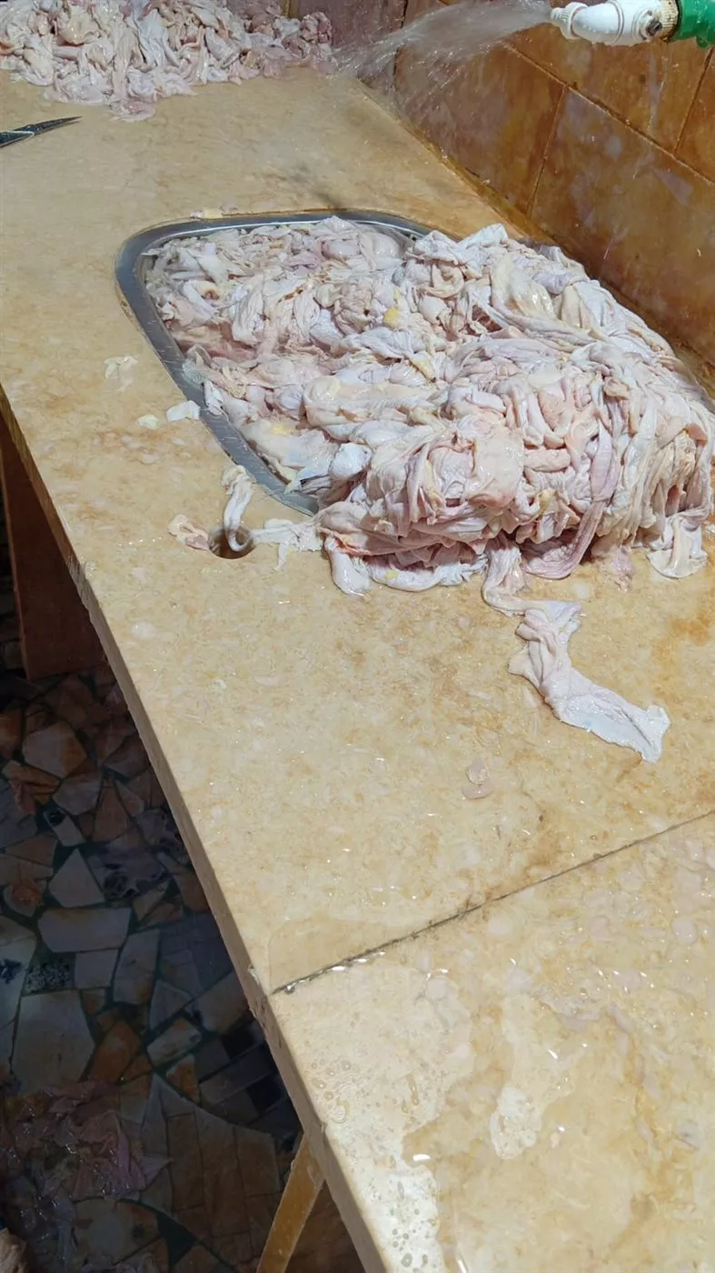 جانب من الحملة