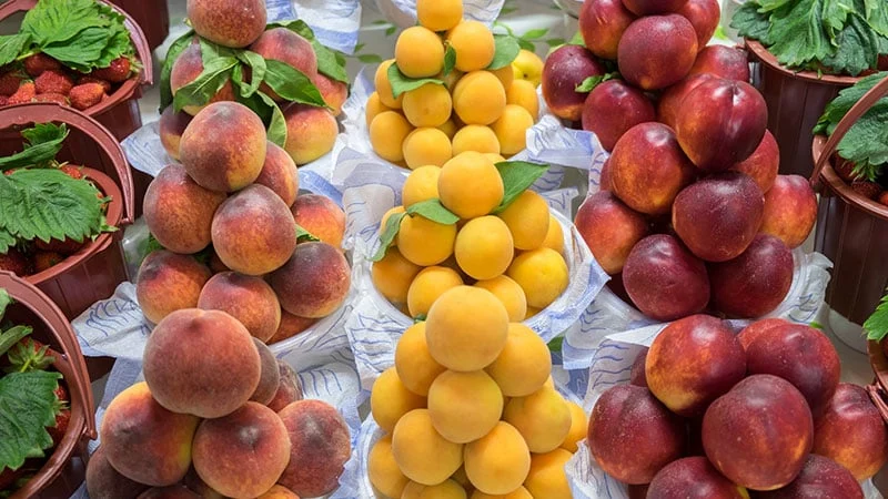 أسعار الفاكهة اليوم