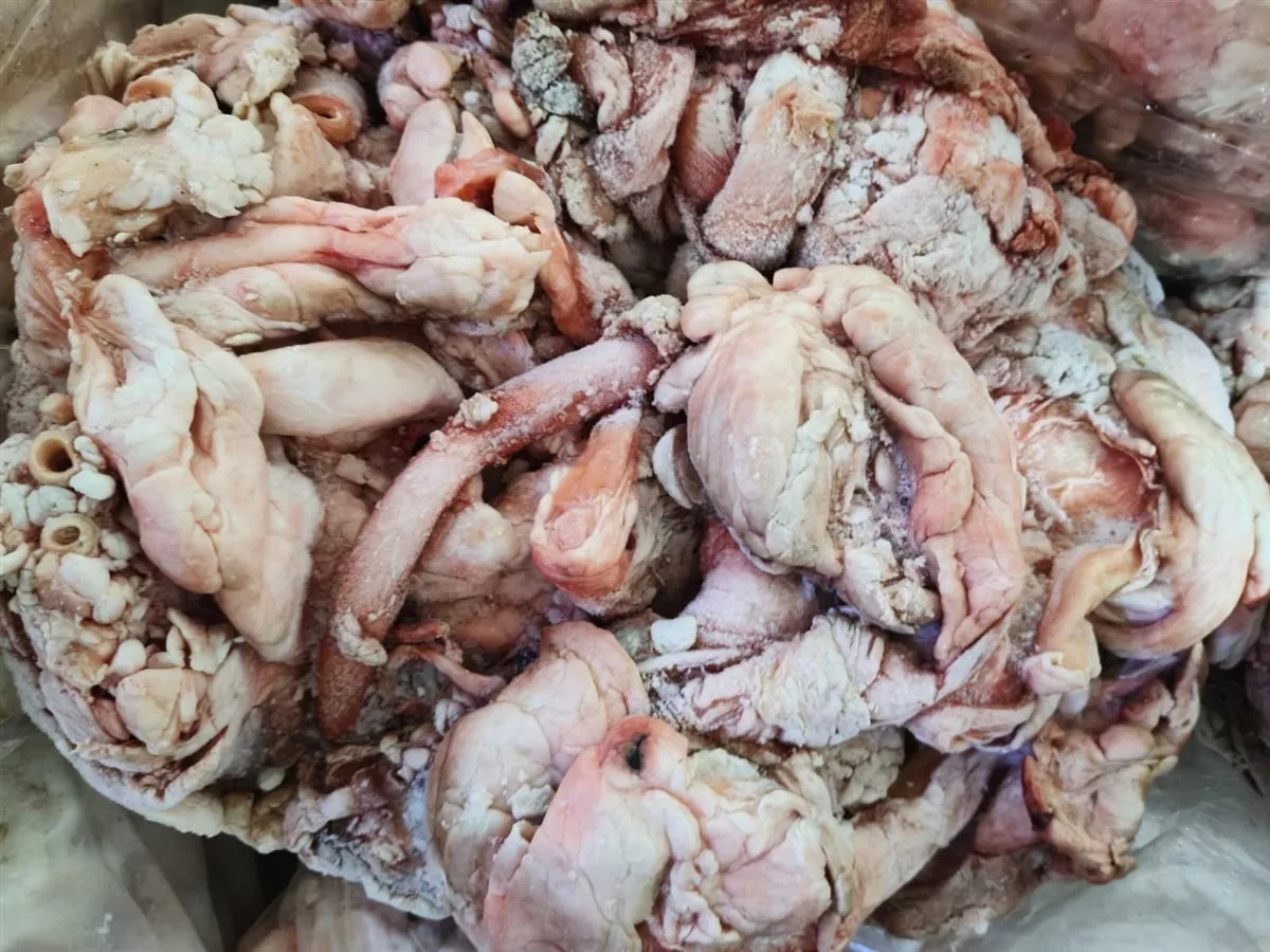 ضبط 3.5 طن مصنعات دواجن ولحوم مجهولة المصدر وغير صالحة للاستهلاك الآدمي بالقليوبية