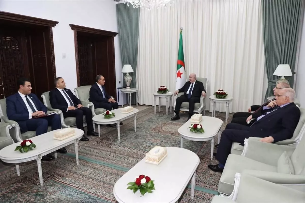 وزير الخارجية يلتقي رئيس الجزائر ويؤكدان الحرص على تعزيز التعاون بين البلدين (صور)