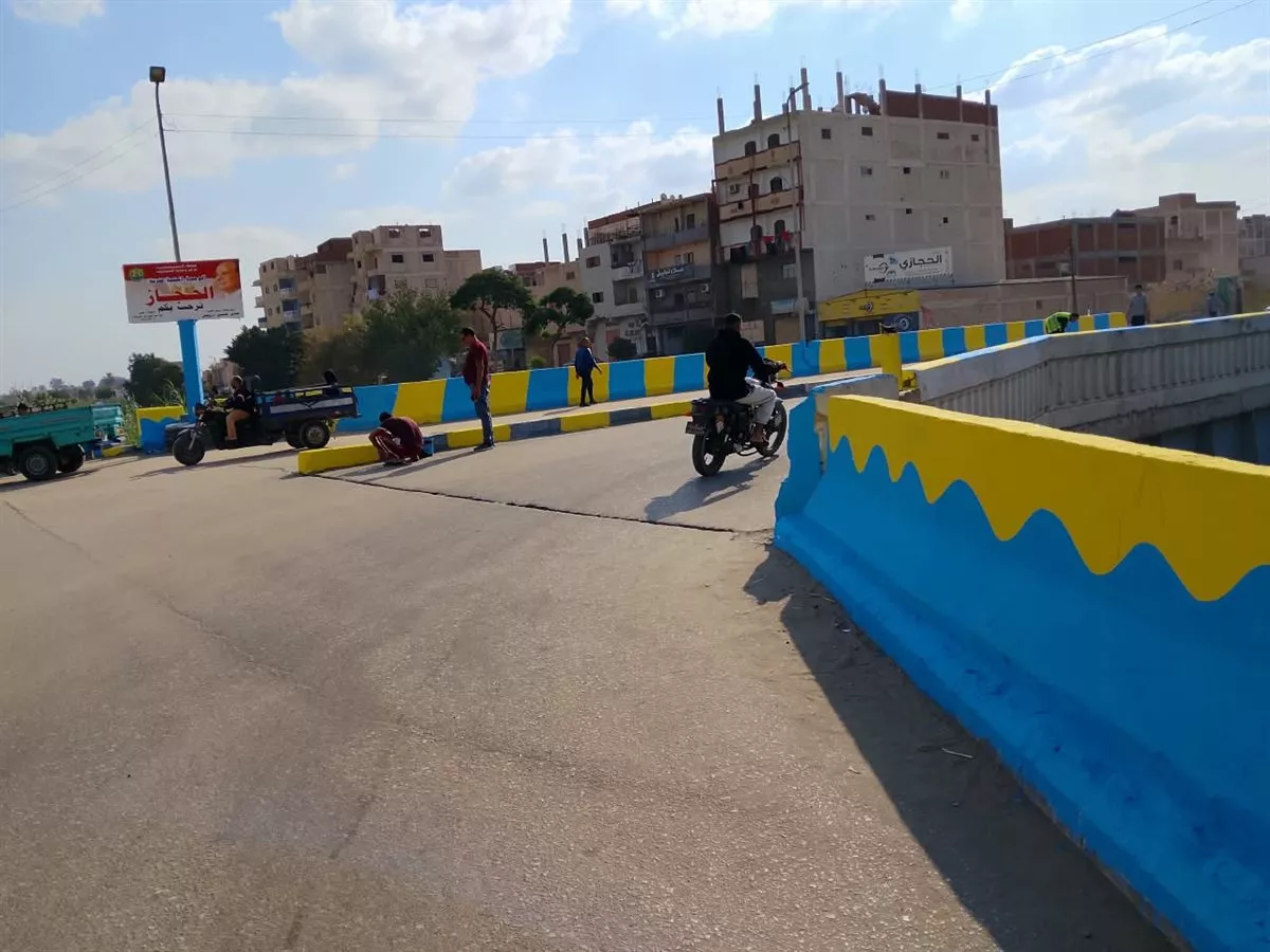 جانب من المبادرة