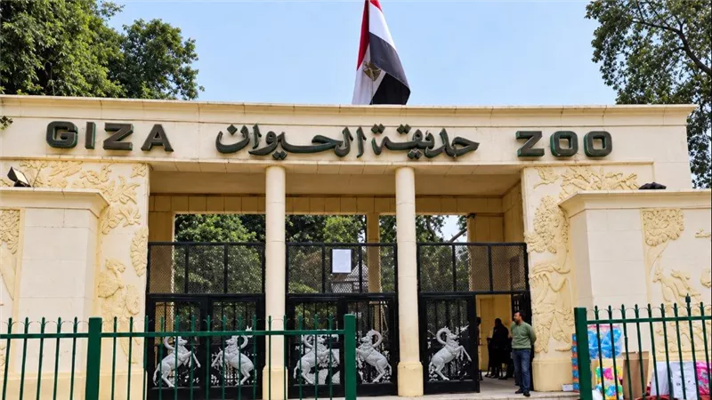 افتتاح حديقة الحيوان بالجيزة، مصادر تكشف لـ
