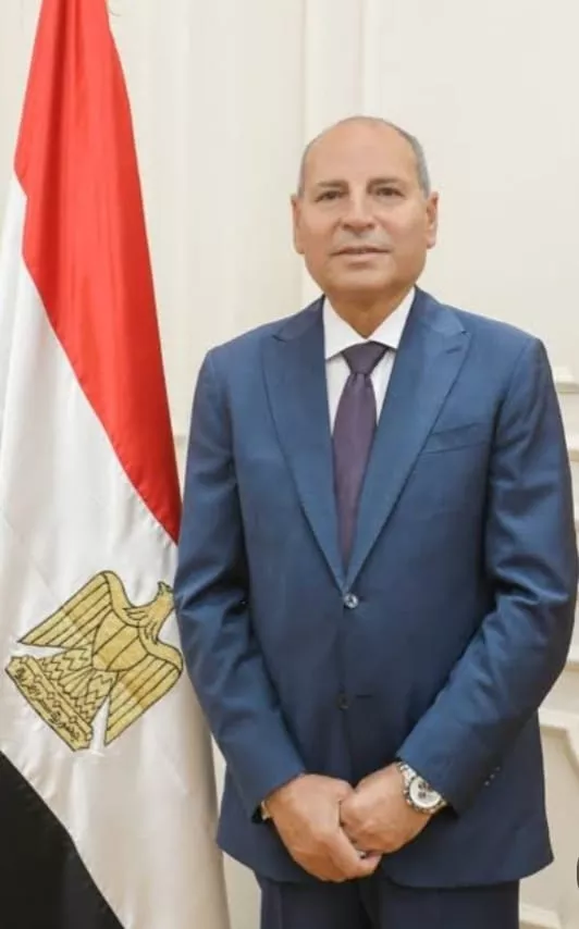 د. إبراهيم صابر محافظ القاهرة