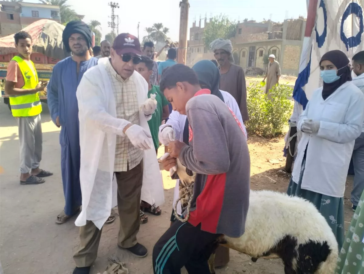 بيطري الأقصر: الكشف على 806 رءوس ماشية و211 طائر خلال قافلة بيطرية بالطود