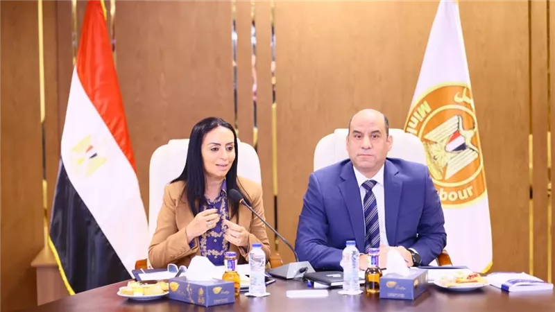 حوافز ومزايا تأمينية جديدة، وزارتا العمل والتضامن تبحثان جهود دعم العمالة غير المنتظمة 