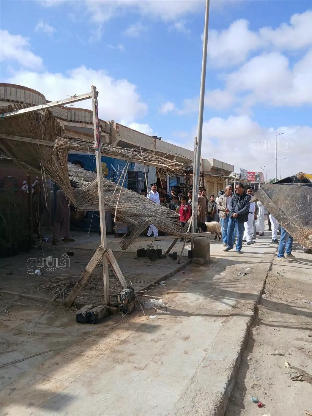 حملة مكبرة لإزالة الإشغالات في براني بمطروح