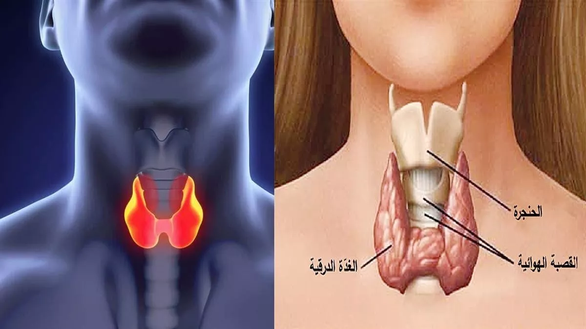 أعراض خمول الغدة الدرقية