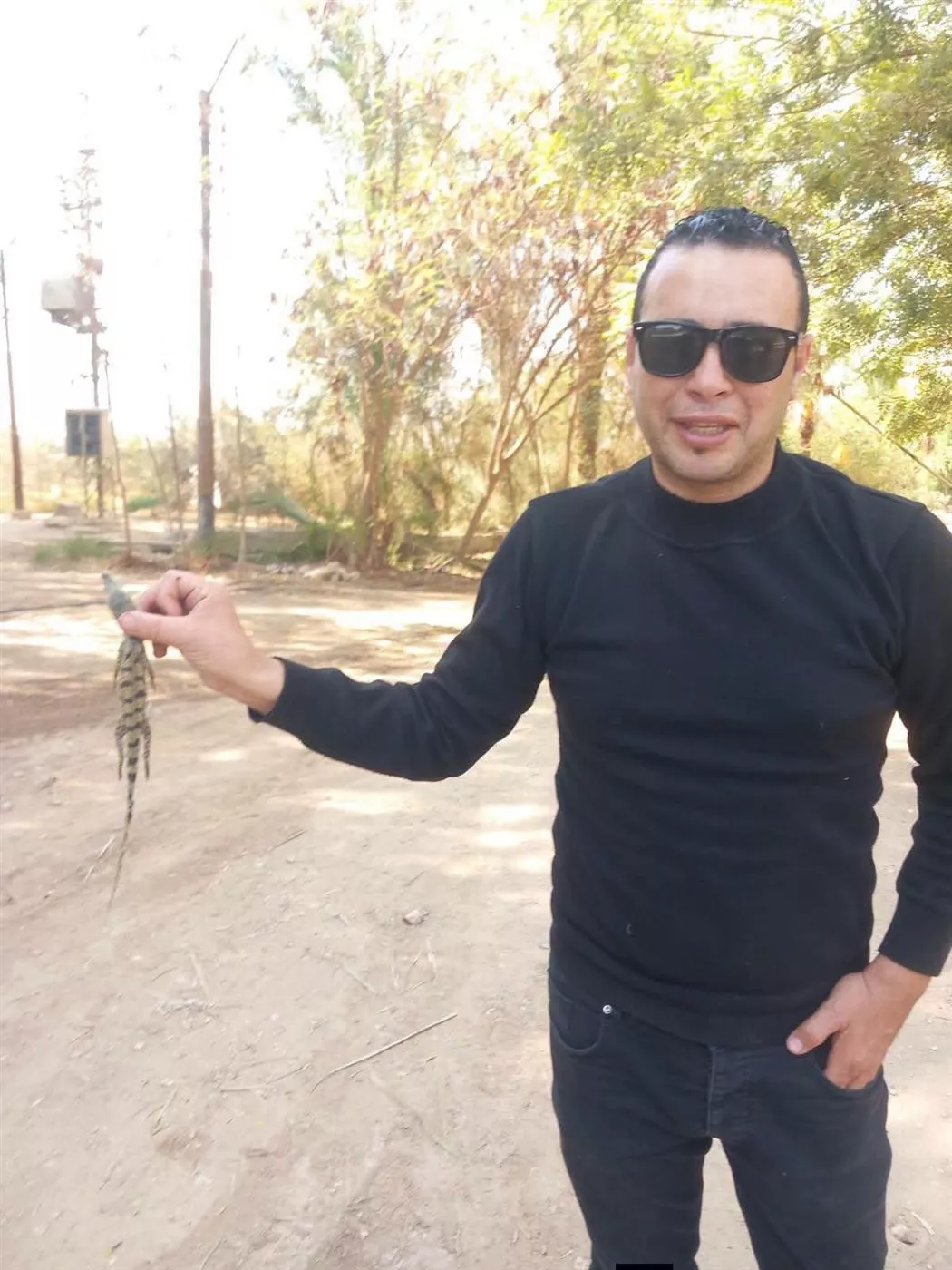 الصيد الثمين، تفاصيل محاولة إحباط تهريب عشرات التماسيح بمحطة قطار أسيوط (صور)
