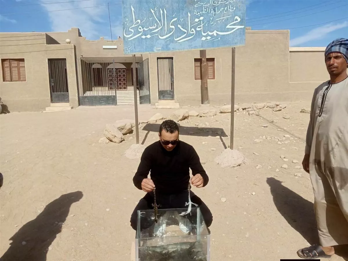 الصيد الثمين، تفاصيل محاولة إحباط تهريب عشرات التماسيح بمحطة قطار أسيوط (صور)