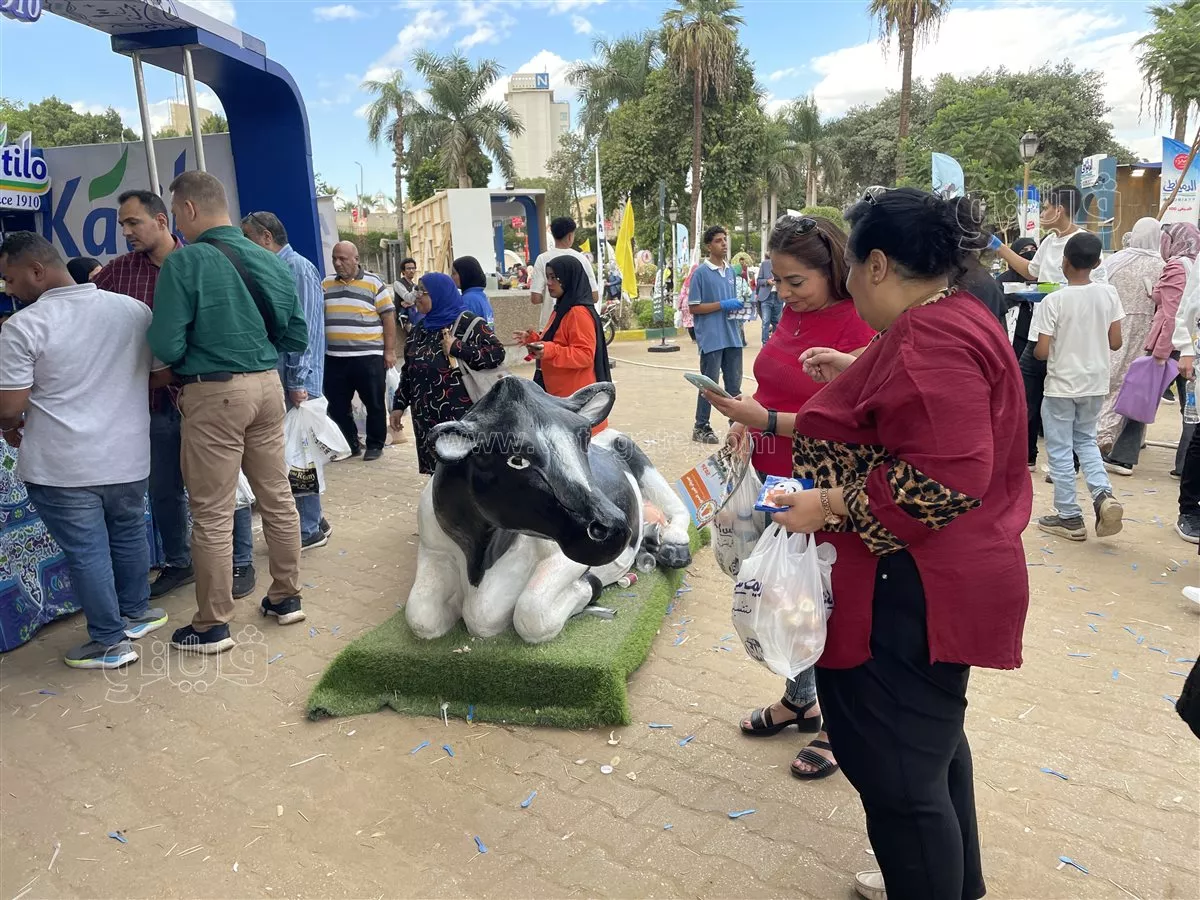 من 12 جنيهًا للزبادي إلى 395 جنيهًا للسمن الجاموسي، أسعار منتجات مهرجان الجبن المصري (صور)