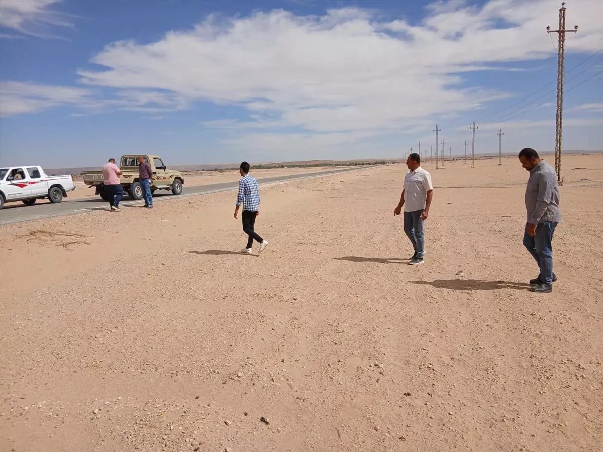 314.webp