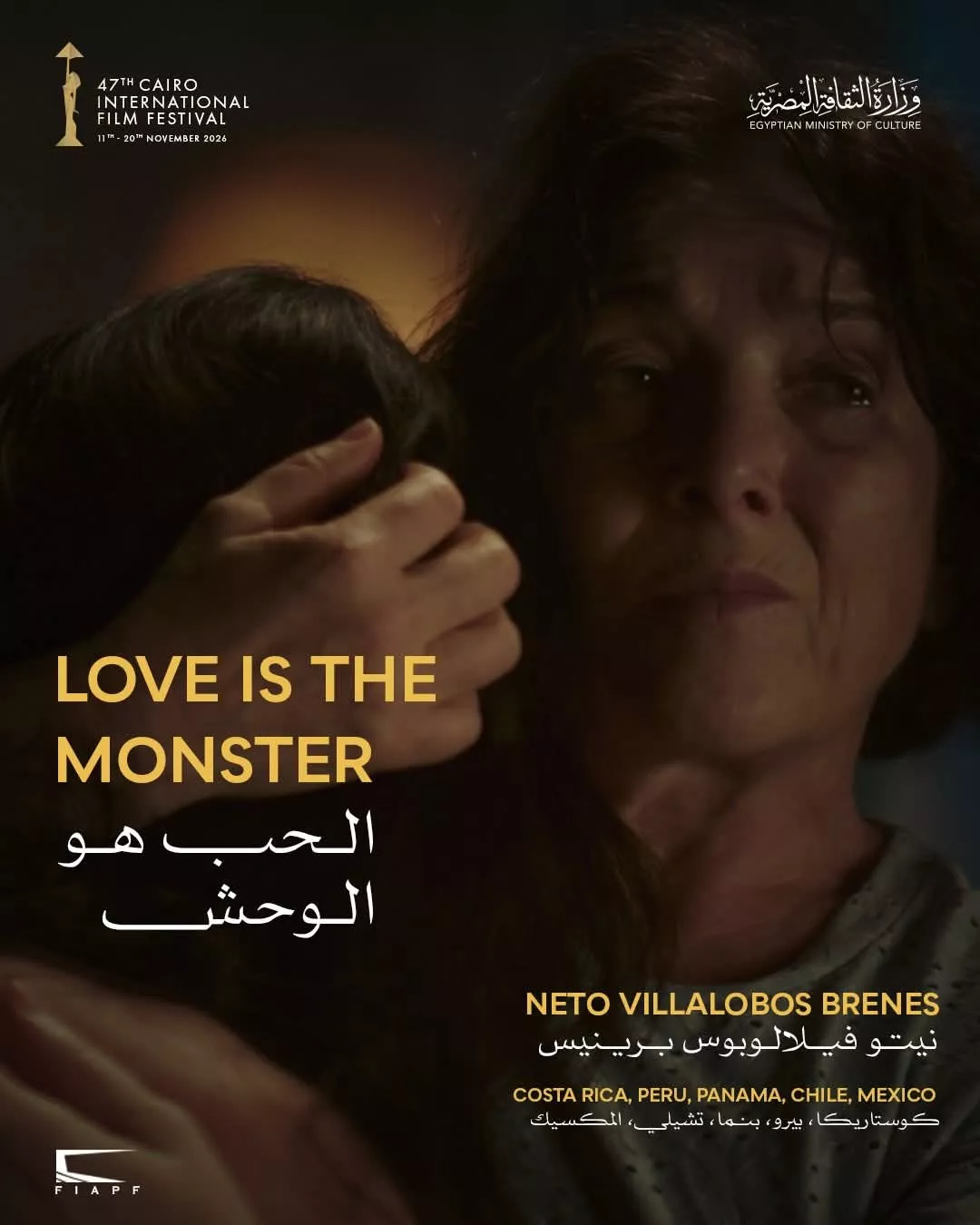 أفلام حصدت جوائز عالمية ضمن المسابقة الدولية بالقاهرة السينمائي بدورته الـ 47