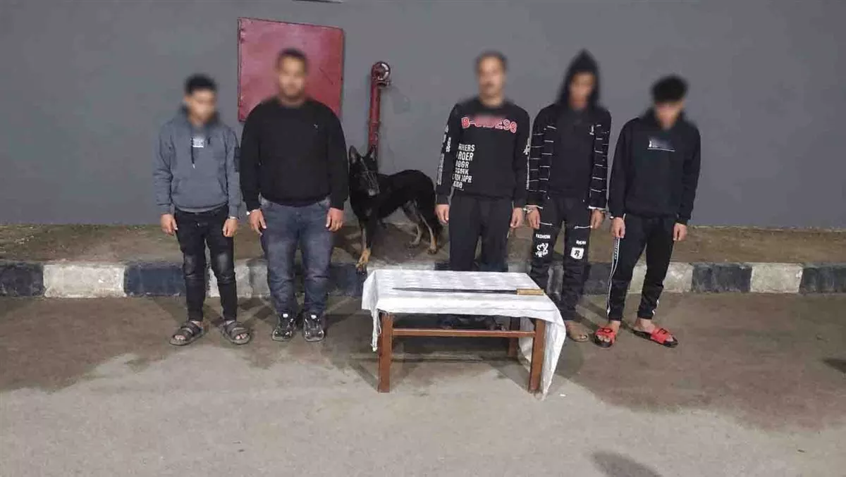 خلافات ميراث وجيرة وأولوية مرور، تفاصيل 4 وقائع تصدرت مواقع التواصل