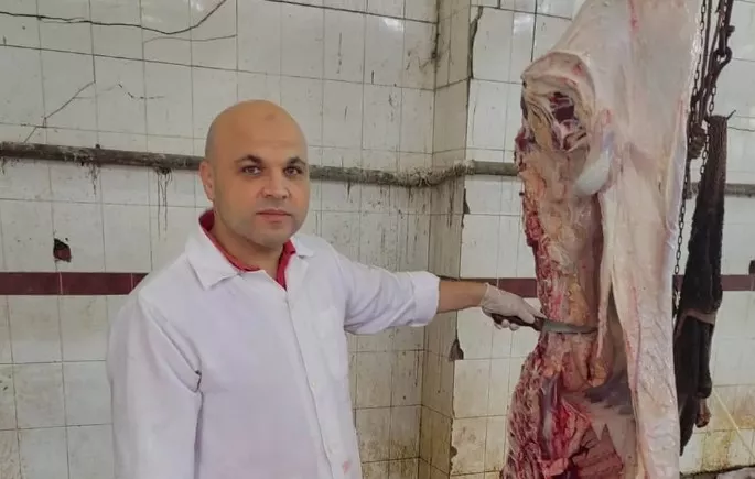 إعدام عجل مصاب بالسل الدخني بمجزر دمياط